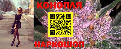 СК Краснодар